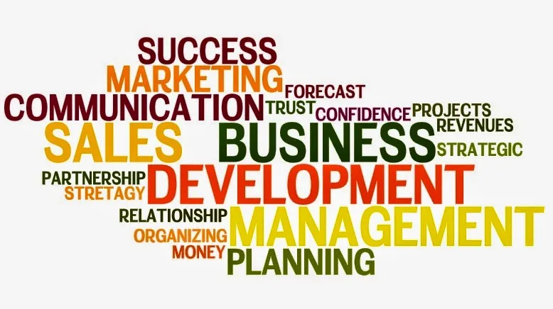 Business Development - Consultancy