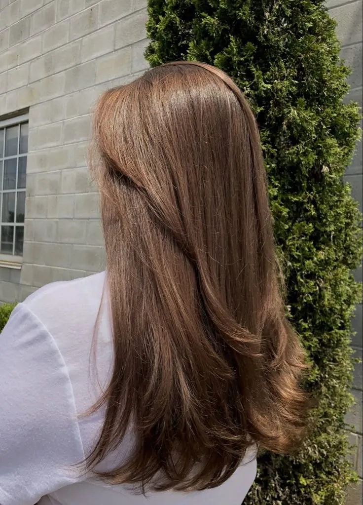 Hair Salon Services (Ladies)