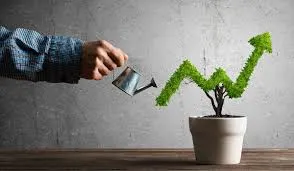 VORTEX ADVISORY - Consulting and Outsourcing
